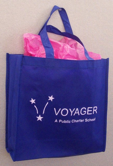 Voyager.jpg